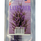Hollywood Incense
