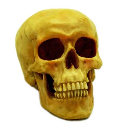 Grinning Skull Statue